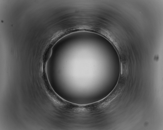 X0000098080253200804041155
