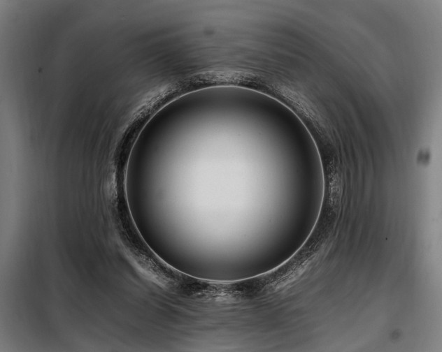 X0000098080254200804041155