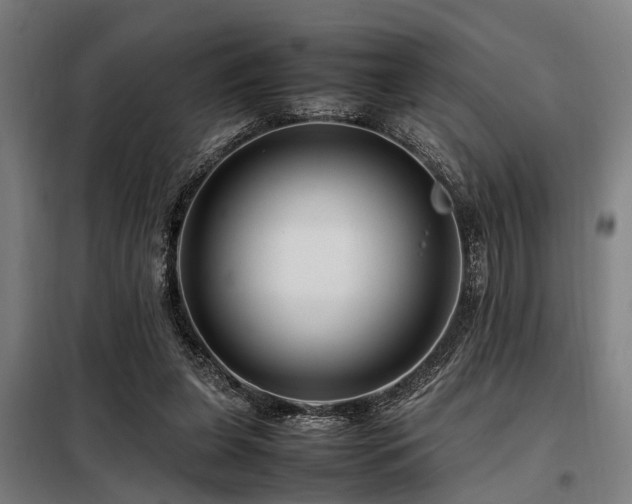X0000098080255200804041155