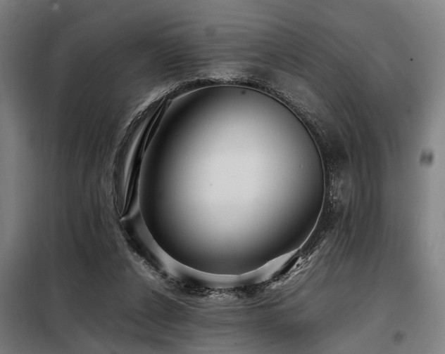 X0000098080256200804041155