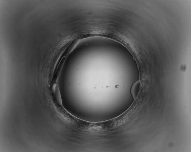 X0000098080257200804041155