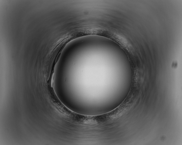 X0000098080258200804041155