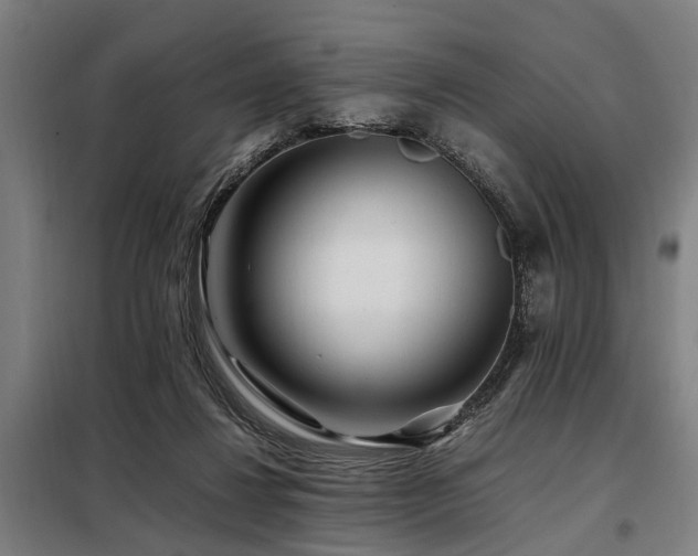 X0000098080260200804041155