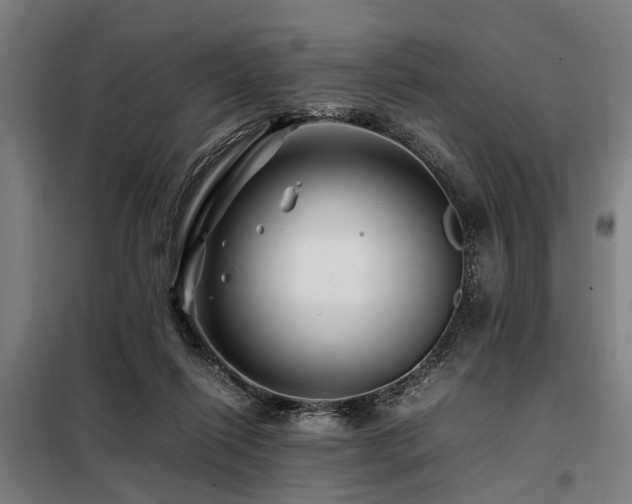 X0000098080262200804041155