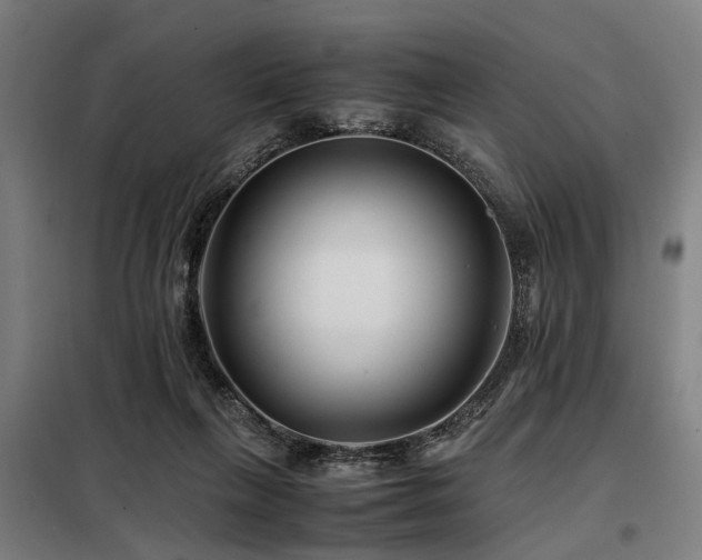 X0000098080263200804041155