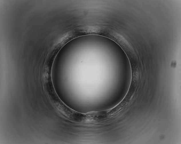 X0000098080264200804041155