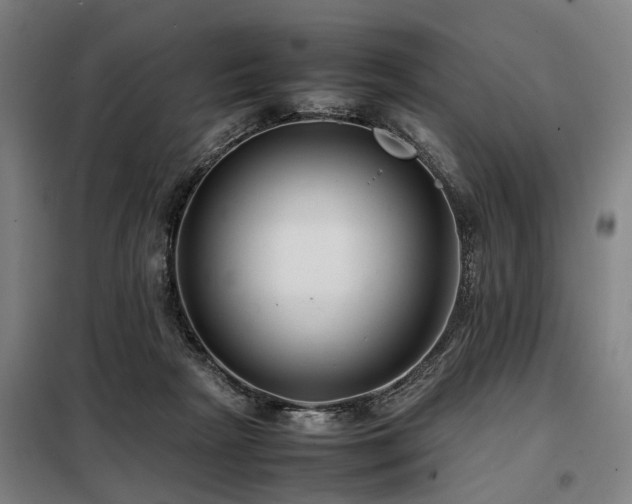 X0000098080265200804041155