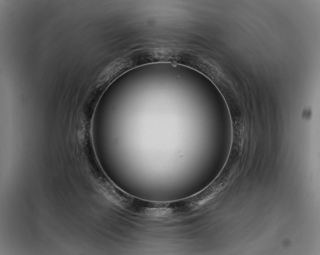 X0000098080266200804041155