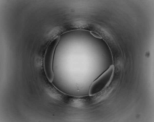 X0000098080268200804041155