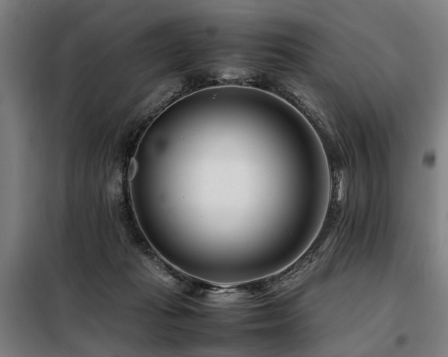 X0000098080269200804041155