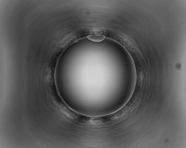X0000098080270200804041156