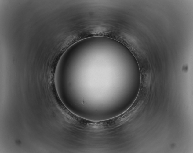 X0000098080273200804041156