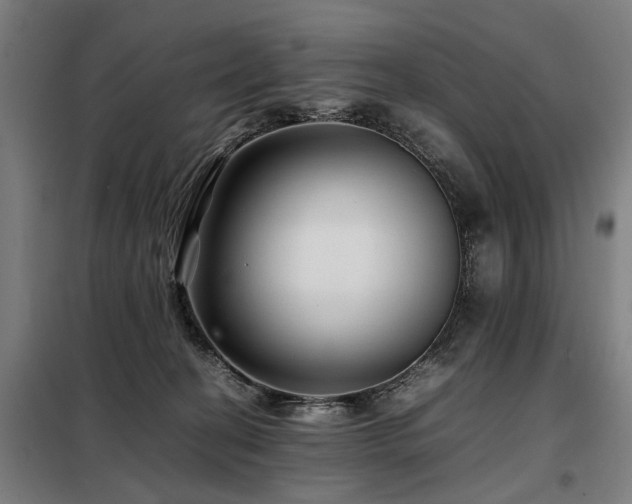 X0000098080274200804041156