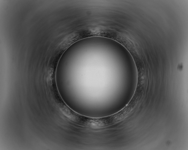 X0000098080275200804041156