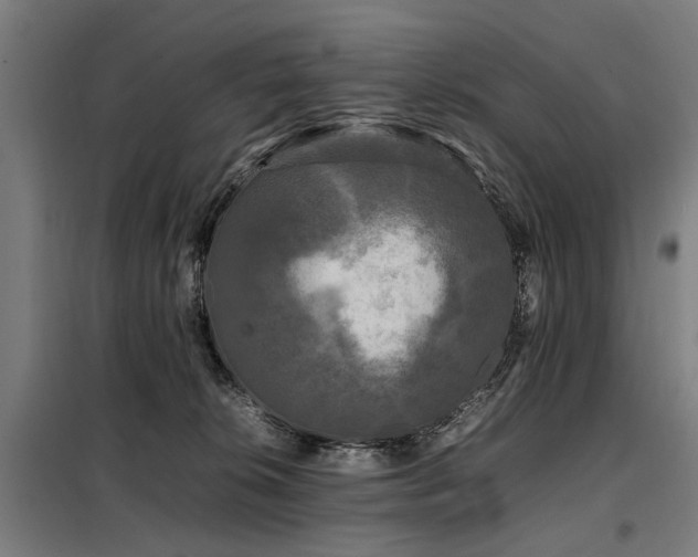 X0000098080276200804041156