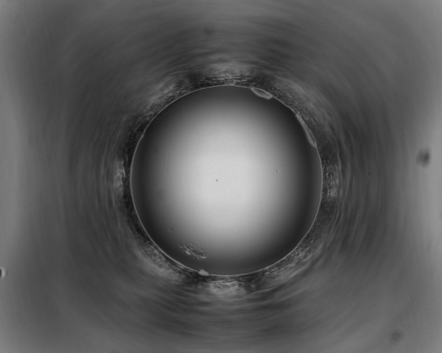 X0000098080279200804041156