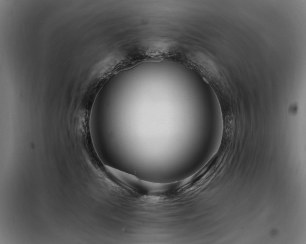 X0000098080280200804041156