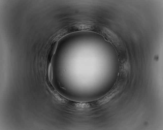 X0000098080281200804041156