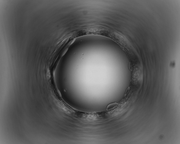 X0000098080282200804041156