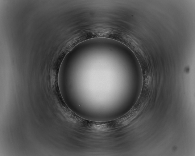 X0000098080283200804041156