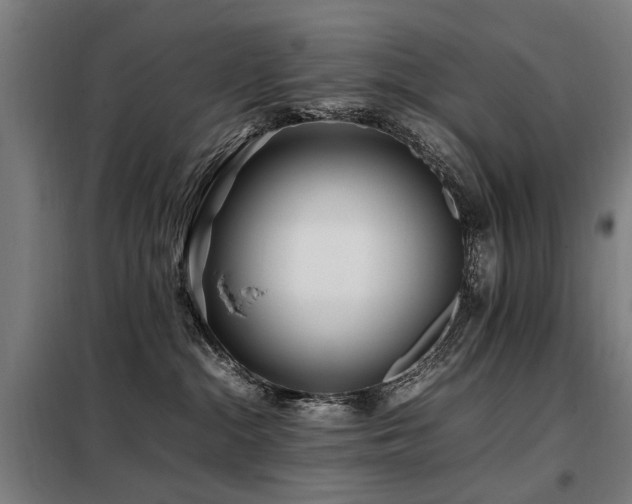 X0000098080284200804041156