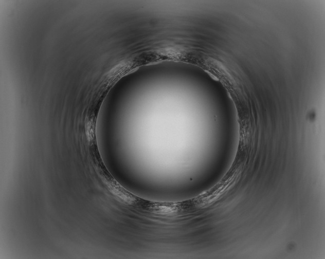 X0000098080285200804041156
