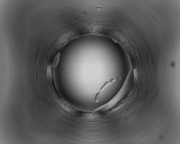 X0000098080286200804041156