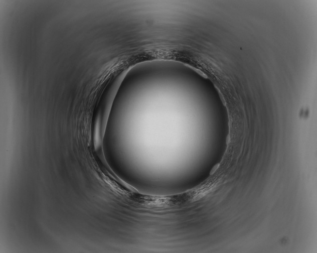 X0000098080288200804041156