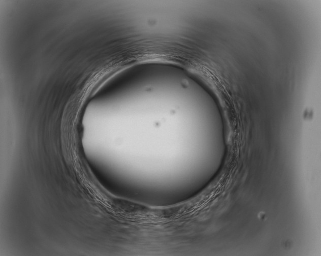 X0000098080289200804041155