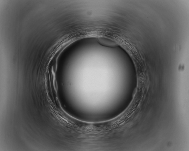 X0000098080290200804041155