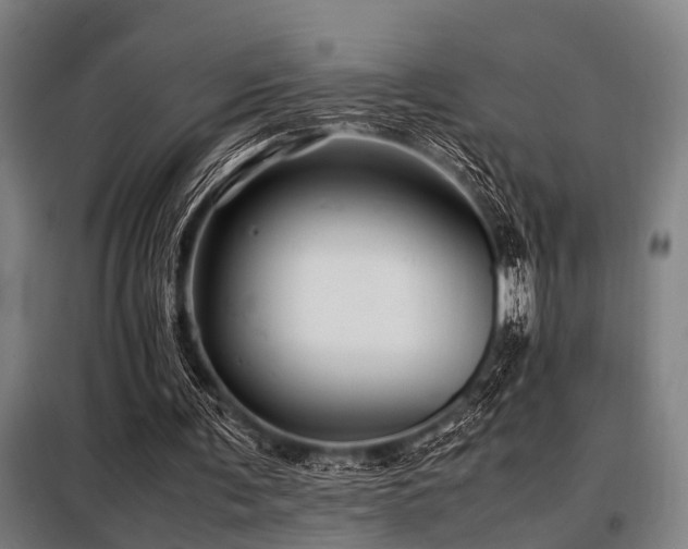 X0000098080291200804041155