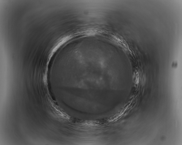 X0000098080292200804041155