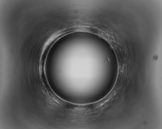X0000098080294200804041155