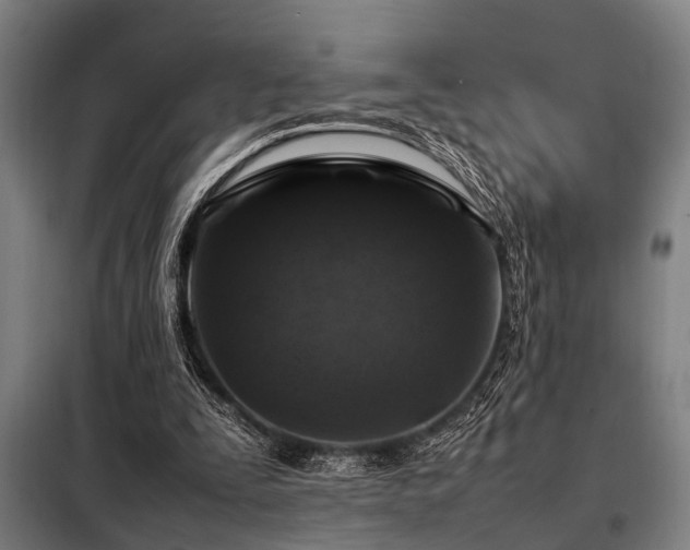 X0000098080295200804041155