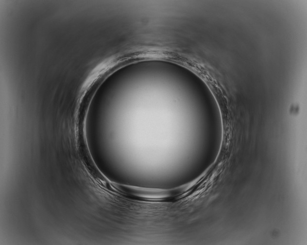 X0000098080296200804041155