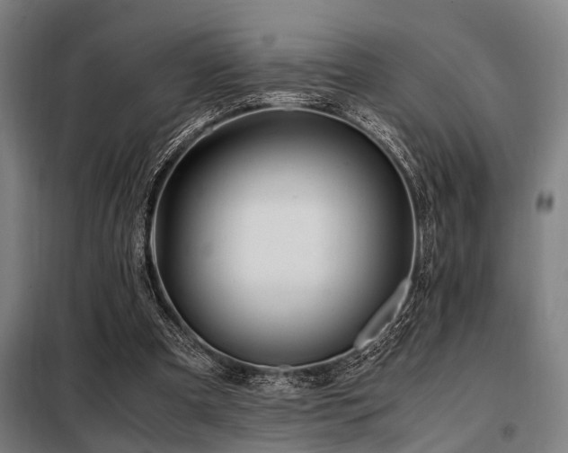 X0000098080297200804041155
