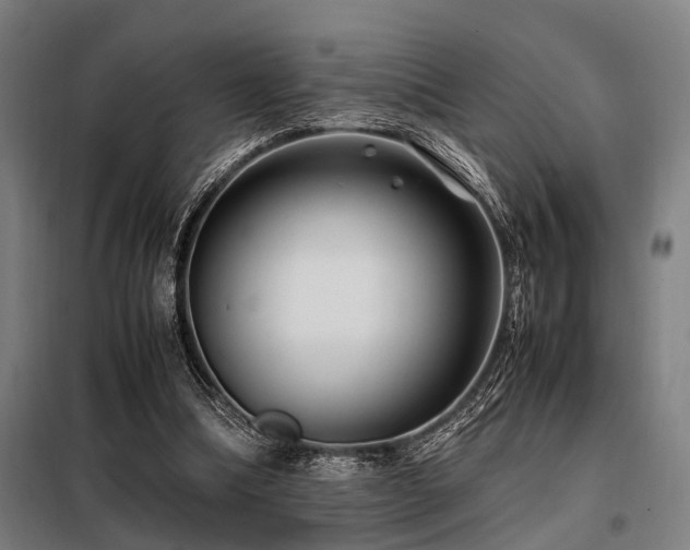 X0000098080298200804041155