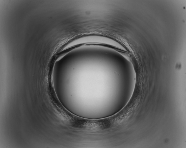 X0000098080299200804041155