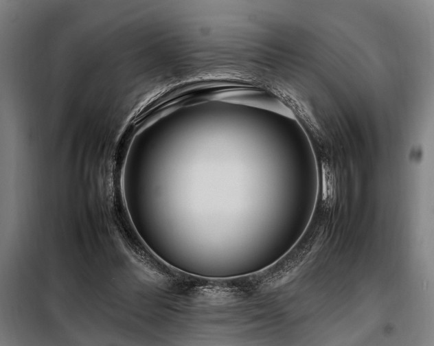 X0000098080300200804041155