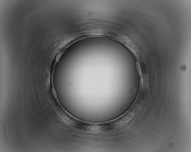 X0000098080301200804041155