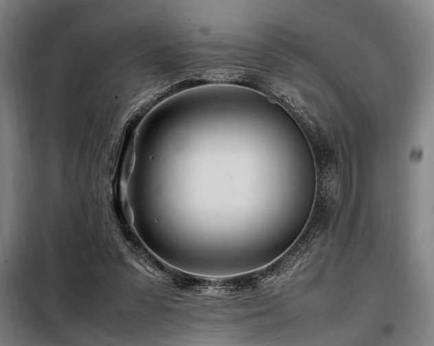 X0000098080303200804041155