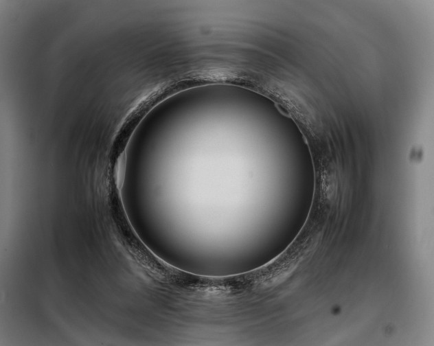 X0000098080304200804041155