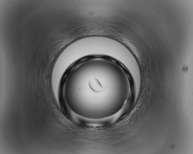 X0000098080305200804041155
