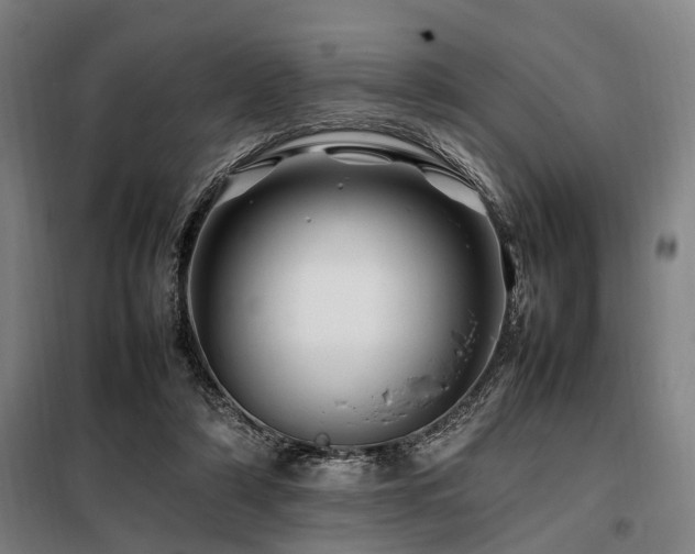 X0000098080306200804041155