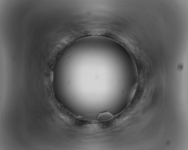 X0000098080307200804041155