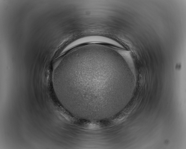 X0000098080308200804041155