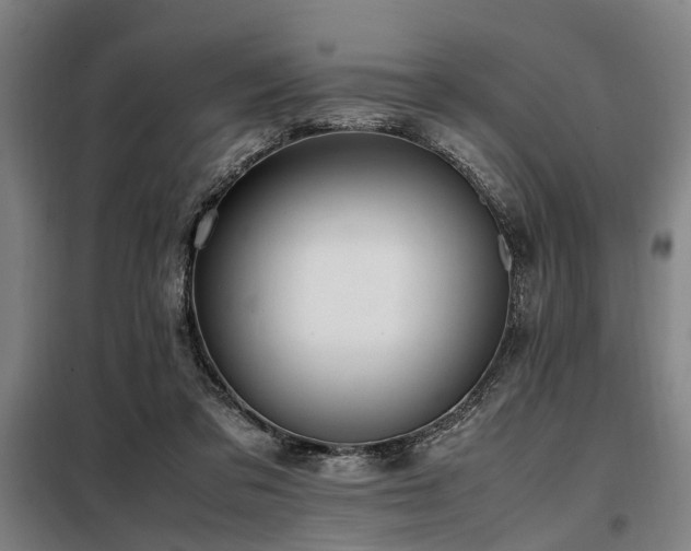 X0000098080309200804041155