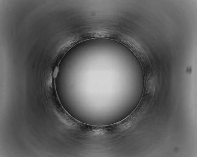 X0000098080310200804041155