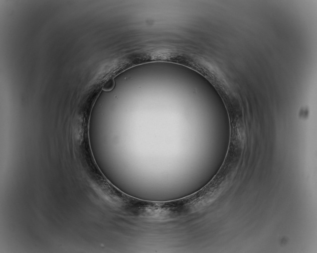 X0000098080311200804041155