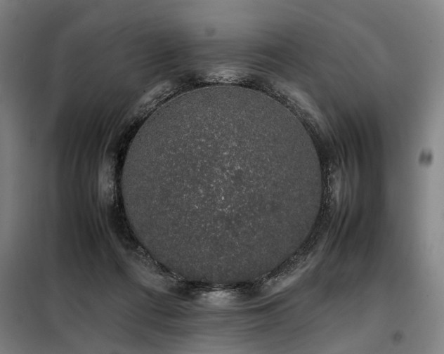 X0000098080312200804041155
